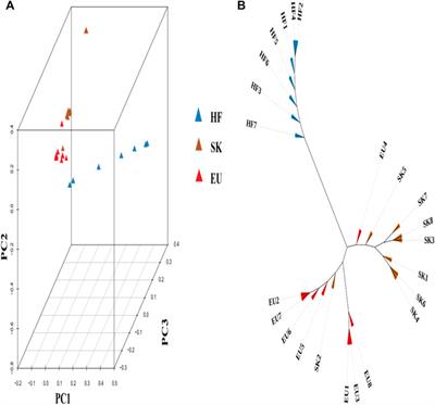 Comparative Genome and Transcriptome Integration Studies Reveal the Mechanism of Pectoral Muscle Development and Function in Pigeons